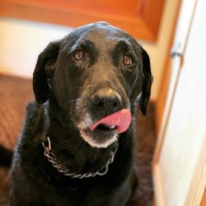 Meet your Posher, Brian